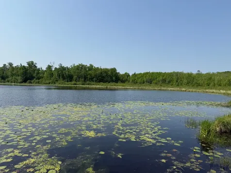 44384 Grace Lake Road Hinckley MN 55037