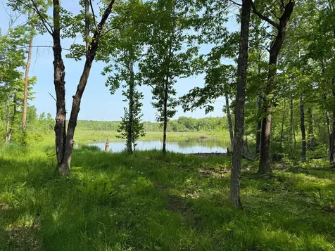 44384 Grace Lake Road Hinckley MN 55037