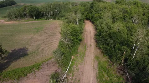 Tbd 250th St E Hampton MN 55031