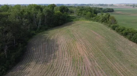 Tbd 250th St E Hampton MN 55031