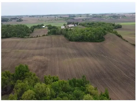Tbd 250th St E Hampton MN 55031
