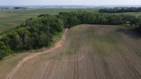 Tbd 250th St E Hampton MN 55031