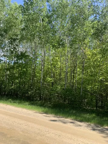 Tbd 63rd Ave N Walker MN 56484