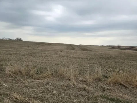 (LOT A) Tbd 100th Avenue Barnesville MN 56514