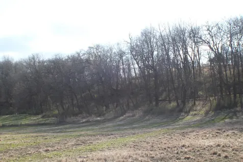 Xxxxc Kings Park Road NW Oronoco MN 55960