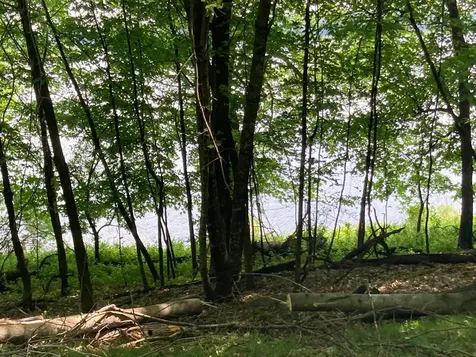 000 200th Street Lake Park MN 56554