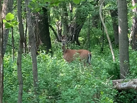 000 200th Street Lake Park MN 56554