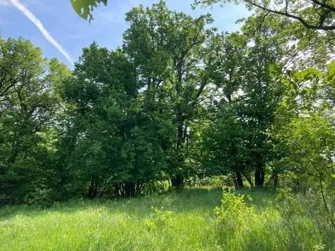 000 200th Street Lake Park MN 56554