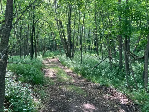 000 200th Street Lake Park MN 56554