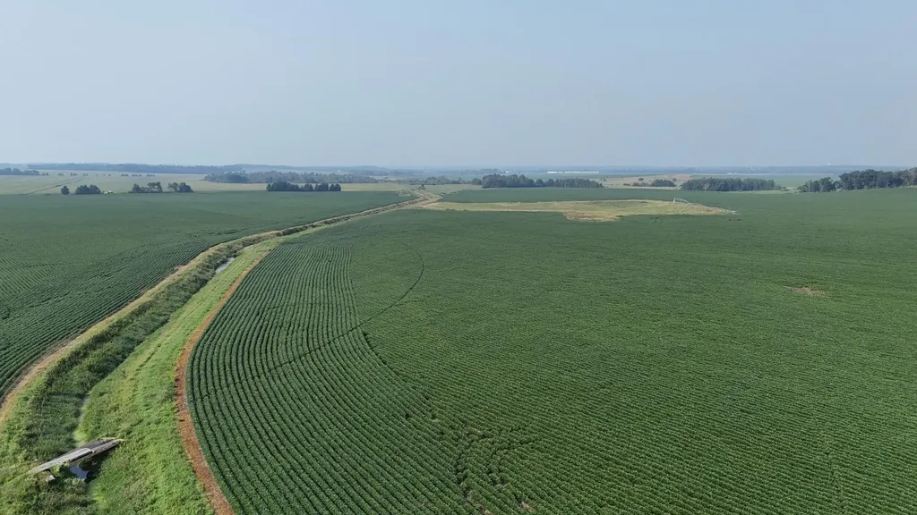 Tbd County 61 Browerville MN 56438
