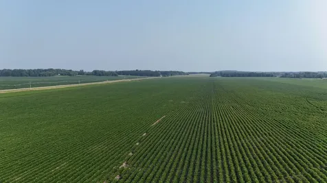 Tbd County 61 Browerville MN 56438