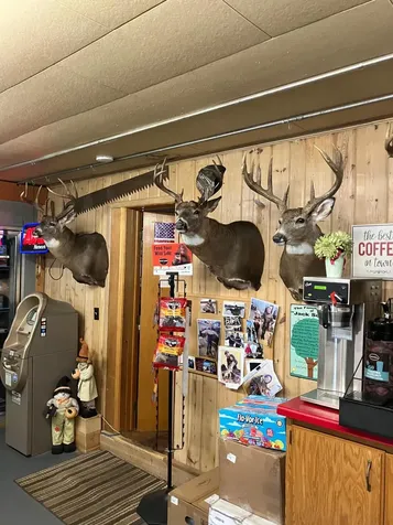 46023 State Highway 6 Deer River MN 56636