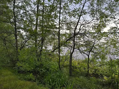 51992 209th Place Mcgregor MN 55760