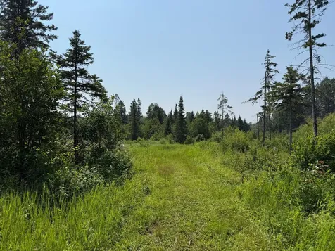 3437 Blueberry Hill Road Two Harbors MN 55616