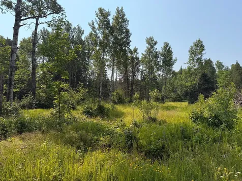3437 Blueberry Hill Road Two Harbors MN 55616