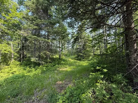 3437 Blueberry Hill Road Two Harbors MN 55616