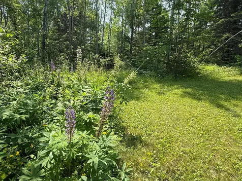 3437 Blueberry Hill Road Two Harbors MN 55616
