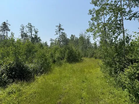 3437 Blueberry Hill Road Two Harbors MN 55616