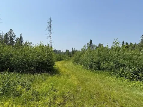3437 Blueberry Hill Road Two Harbors MN 55616