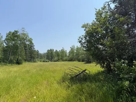 3437 Blueberry Hill Road Two Harbors MN 55616