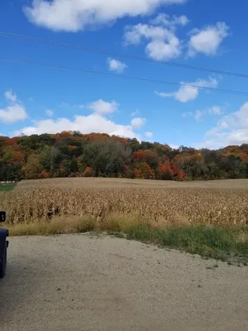 Tbd Scenic Byway Road Henderson MN 56044