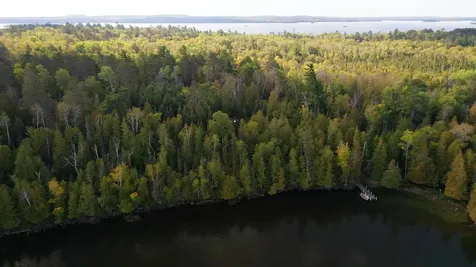5497 Pine Island N Tower MN 55790