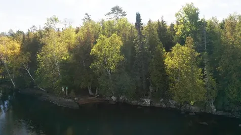 5497 Pine Island N Tower MN 55790