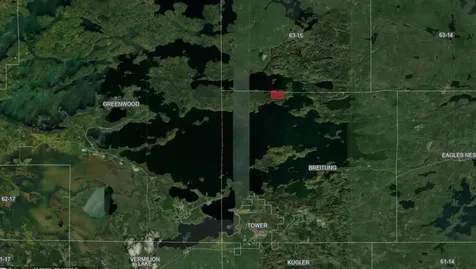 5497 Pine Island N Tower MN 55790