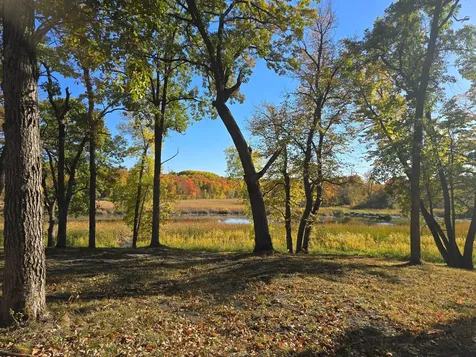 Tract L Blybergs Lane Pelican Rapids MN 56572
