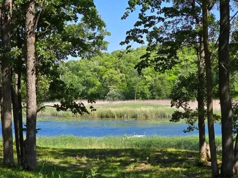 Tract L Blybergs Lane Pelican Rapids MN 56572