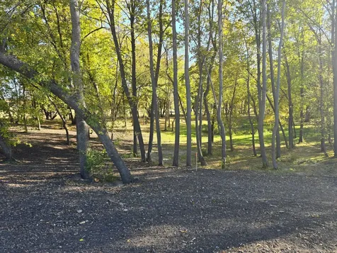 Tract A Blybergs Lane Pelican Rapids MN 56572