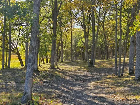 Tract A Blybergs Lane Pelican Rapids MN 56572