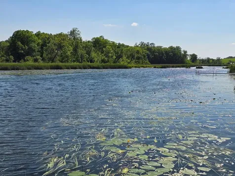 Tract H Blybergs Lane Pelican Rapids MN 56572