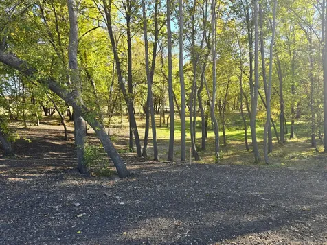 Tract C Blybergs Lane Pelican Rapids MN 56572