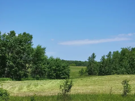 Lot 4 Co Highway 4 Lake Park MN 56554