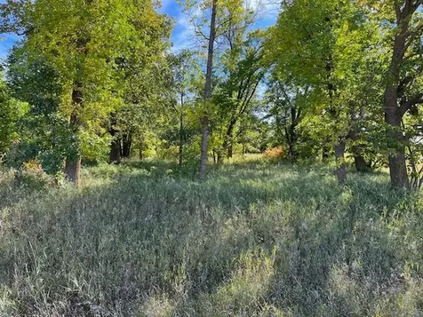 Xxxx Woodsmen Lane SW Alexandria MN 56308