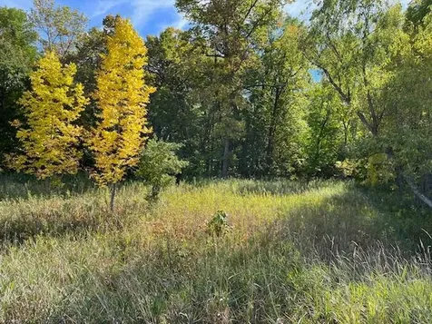 Xxxx Woodsmen Lane SW Alexandria MN 56308
