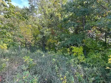 Xxxx Woodsmen Lane SW Alexandria MN 56308