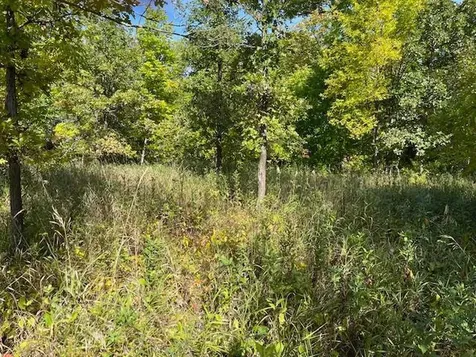 Xxxx Woodsmen Lane SW Alexandria MN 56308