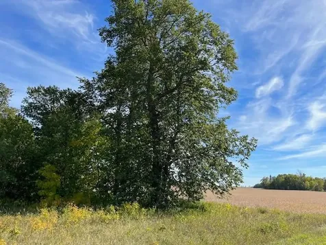 Xxxx Woodsmen Lane SW Alexandria MN 56308