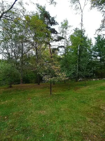 22519 County Road 3 Merrifield MN 56465
