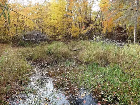 22519 County Road 3 Merrifield MN 56465