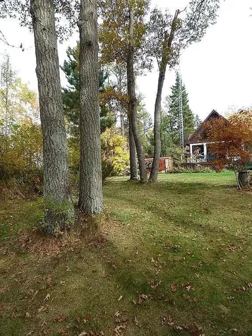 22519 County Road 3 Merrifield MN 56465