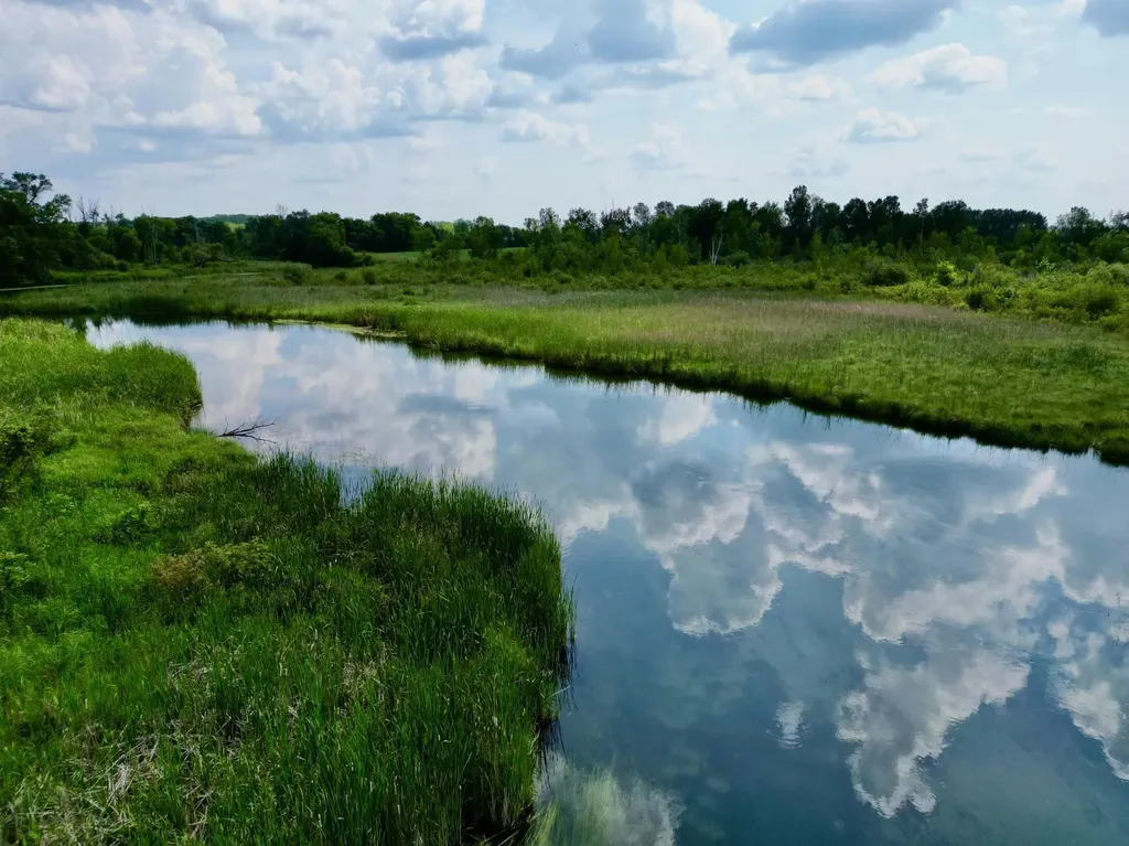 Lot 1 Block 2 River View Trail Pelican Rapids MN 56572