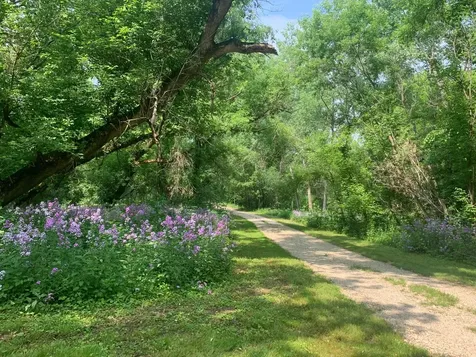 Tbd 75th Street NW Rochester MN 55901