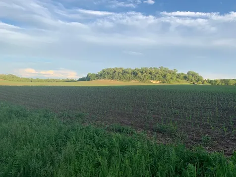Tbd 75th Street NW Rochester MN 55901