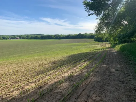 Tbd 75th Street NW Rochester MN 55901