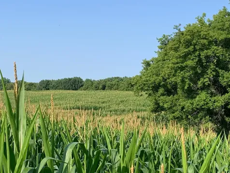 Tbd 75th Street NW Rochester MN 55901
