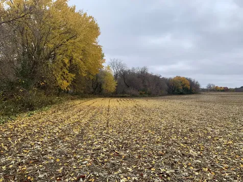 Tbd 75th Street NW Rochester MN 55901
