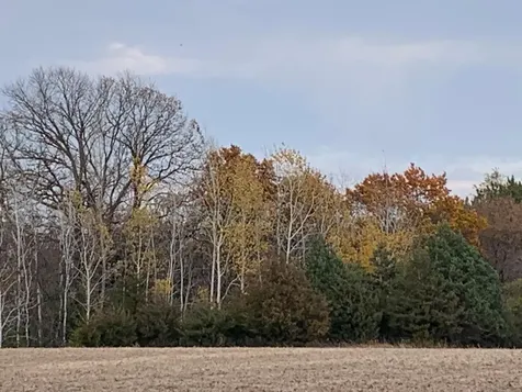 Tbd 75th Street NW Rochester MN 55901